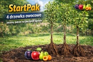 StartPak 4 drzewka owocowe – idealny pakiet na początek ogrodu