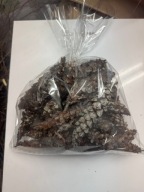 Szyszki sosny wejmutki