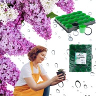 DONICZKI PRODUKCYJNE MULTIPLATY DO ROZSAD 20 SZT. Z PALETKĄ