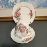 Colclough angielska porcelana zestaw śniadaniowy trio, osty, złocenia