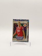 PREMIER LEAGUE TOPPS 2026 Nemanja Vidić 290 NAKLEJKA
