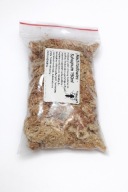 Mech torfowiec (Sphagnum) – naturalna dekoracja do hodowli mrówek 150ml