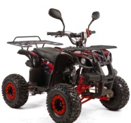 XTR Inny quad Python 125 cc 0067 quad raty transport cala Polska sklep Kra