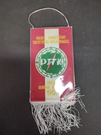 Proporczyk PTTK Dąbrowa Górnicza