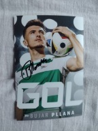 Zdjęcie 10x15 autograf Lechia Gdańsk sezon 2024/25 Gol Bujar Pllana
