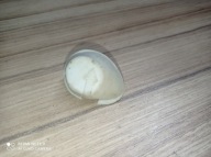 STIHL MS 193 OSŁONA KAPTURKA ŚWIECY ORGINALNA