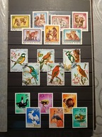 FAUNA I FLORA ŚWIATA - ZESTAW