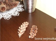 Szyszki SOSNA WEJMUTKA 30szt + Gratis