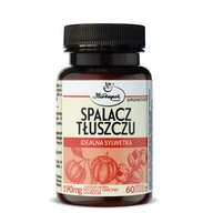 Spalacz tłuszczu Herbapol Kraków kapsułki 60 szt. garcinia cambogia