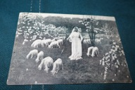 P.STACHIEWICZ RAJSKA PASTERKA