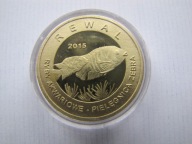 10 złotych rybek akwariowych pielęgnica zebra Rewal