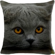 Ozdobna poszewka, jasiek na poduszki - Kot - 45 x 45 cm produkt unisex