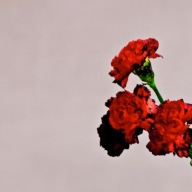 John Legend Love In The Future CD