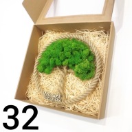 Drzewko Szczęścia Chrobotek, oryginalny prezent na każdą okazję, 32cm