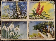 ONZ - Genewa ** 2010 r. flora