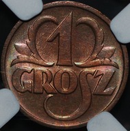 1 grosz 1939 - MS 66 RB - NGC - druga MAX NOTA