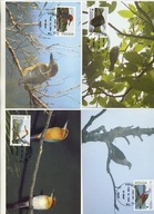 A41685)WWF-Maximum Karty Ptaki: Mikronesien 174 - 177