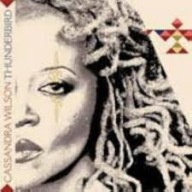 Thunderbird Cassandra Wilson CD FOLIA