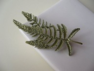 BROSZKA PAPROĆ PAPROTKA NOWA