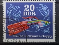 Ryby (kas) - luzak - do uzupełnień 13/6