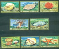 KORALOWCE. UMM AL QIWAIN. Mi zn. A**