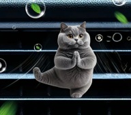 Zapach 2D KOTEK do samochodu na kratkę nawiewu DZIEŃ KOBIET