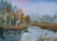 Drzewa w lesie Akwarela Sabina Salamon 30x 40