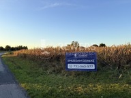 Działka, Rossosz, Łęczna, Łęczyński, 3288 m²