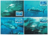 01-MC-GK49- Bermudy, WWF, 2004-Tunczyk