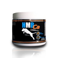 Suplement na przyrost mięśni i regenerację Game Dog HMB CA 200g