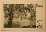 POLANICA ZDRÓJ. Park Zdrojowy, 1964 rok