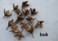 Szyszki buka BUK 125szt + Gratis