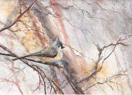 OBRAZ na ścianę AKWARELA oryginał