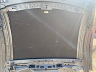 Mercedes AMG GT W190 DACH KARBON CARBON