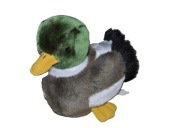 pluszak maskotka urocza dzika kaczka kaczuszka