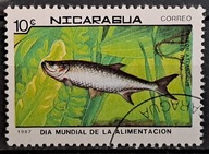 Ryby (kas) - luzak - do uzupełnień 13/3