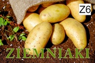 BANER PLANDEKA SPRZEDAŻ ZIEMNIAKÓW ZIEMNIAKI 120X80 Z6