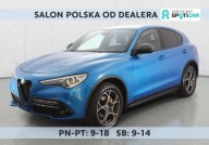 Alfa Romeo Stelvio 2.2 JTDM Fv23 Od RiA SalonPL FVat Bogata Wersja 4x4 2.1