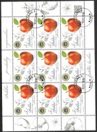 $ROCZNIK 2014 Fi ark. 4539 kas. PRODUKTY REGIONALNE - FISCHER tom XXXI