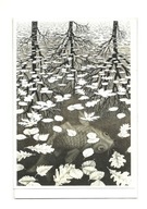 Karnet - Escher, Jesienny karp z odbiciem drzew