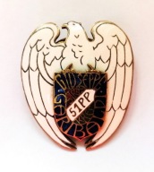 Odznaka 51 Pułk Piechoty