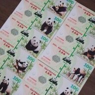 Zestaw 10 Banknotów Kolekcjonerskich Pandy 2015-2024 UNC UV blikshop xshop