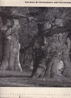 Polska w fotografii artystycznej Praca zbiorowa