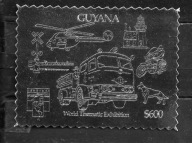 LATARNIA. SAM. STRAŻ. PIES. GUYANA. Mi zn. per. w sreb.**1992r.