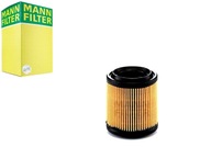 MANN-FILTER FILTR POWIETRZA MAN, C 710/1