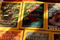 National Geographic. Angielski. 2000. February to July. 6 sztuk.