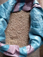 Żyto, zboże, ziarno 25kg!!!!!