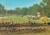 KOŃ - KONIE - JEŹDZIEC - WŁOCHY - SALICE TERME - HIPODROM - ZAWODY