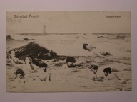 Rewal Rewahl hotel nimfy wodne 1909 kolaż