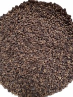 Pierzga pszczela ŚWIEŻA, PREMIUM 0,5 kg 2024